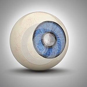 Zoom lens inside pupil of eyeball