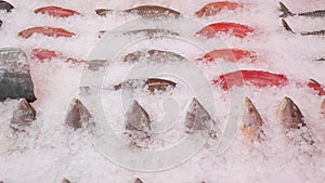 Zoom out of assortment of fish on ice, displayed on a fishmonger stall