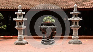 Zoom Out of Bonsai Tree Pot - Tran Quoc Pagoda in Hanoi Vietnam