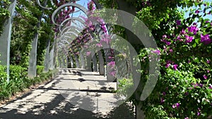 Zoom out from the promenade in South Bank Parklands in brisbane