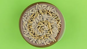 Zoom out, rotation of rye grains in a clay pot, isolated