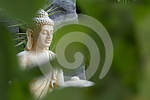 A zoom-in shot of Buddha statue through the green bushes. Enlightment concept