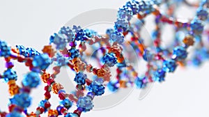Zoomedin image of the sugarphosphate backbones of the DNA double helix exhibiting the alternating pattern photo