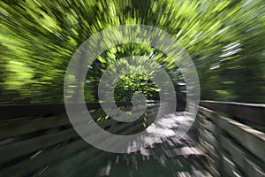 Zooming effect on the movement of the tree and branches