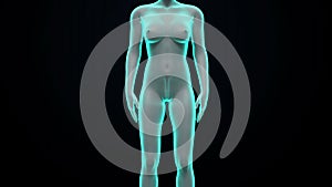 Zooming female body scanning womb, blue X-ray image.