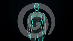 Zooming female Human body scanning internal organs, Digestion system.Blue X-ray light