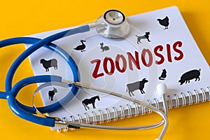 Zoonosis, Concept Zoonoses and infections transmissible from vertebrate animals to humans, Epidemic threat, Medical stethoscope, photo