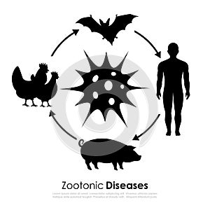 Zoonotic disease vector icon photo