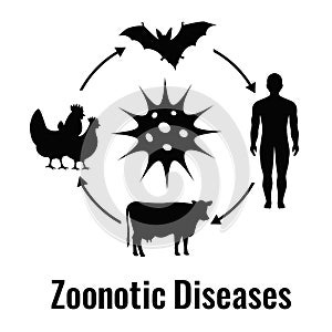 Zoonotic disease vector illustration photo