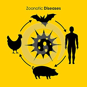 Zoonotic diseases vector poster photo