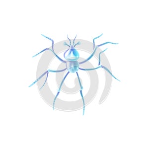 Zooplankton Realistic Icon photo