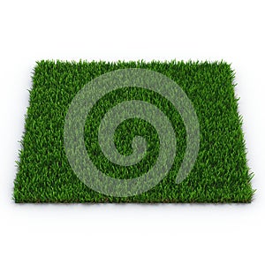 Zoysia Grass on white. 3D illustration