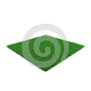 Zoysia Grass on white. 3D illustration photo