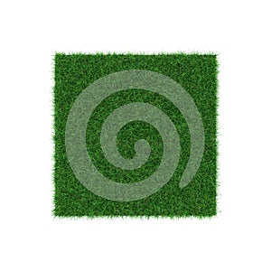 Zoysia Grass on white. 3D illustration photo