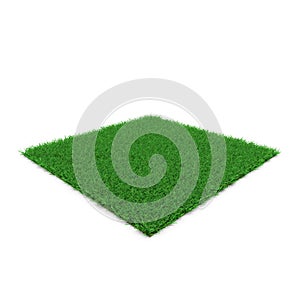 Zoysia Grass on white. 3D illustration photo