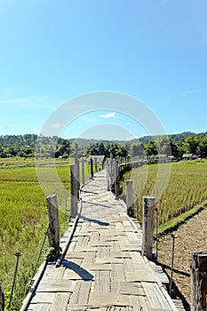 Zu Tong Pae bamboo bridge