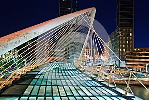 Zubizuri bridge, Euskadi, Spain