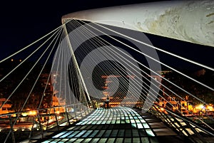 Zubizuri bridge, Euskadi, Spain