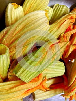 Zucca - pumpkin flowers for cooking photo
