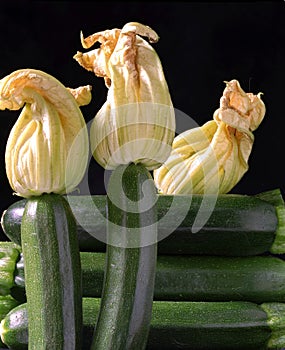 Zucchine photo