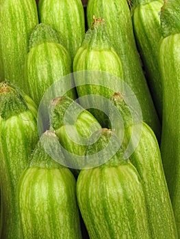Zucchini
