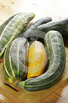 Zucchini