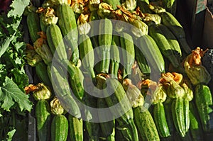 zucchini aka courgettes vegetables food