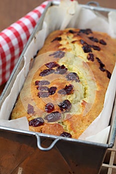 Zucchini bread with cranberries