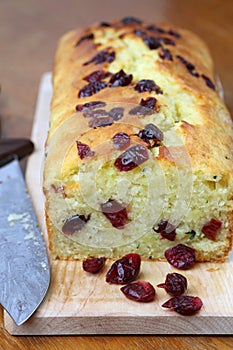 Zucchini bread with cranberries