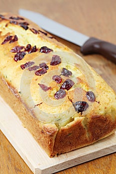 Zucchini bread with cranberries