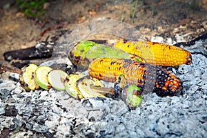 zucchini and corn on the campfire