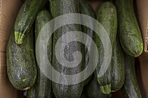 Zucchini courgettes in a box in a supermarket. Close-up
