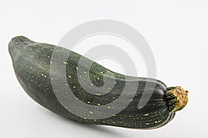 Zucchini Cucurbita pepo