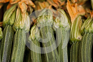 Zucchini flower