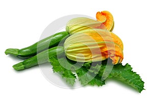 Zucchine fiore 