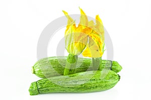 Zucchini with flower