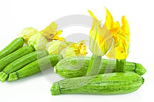 Zucchini with flower