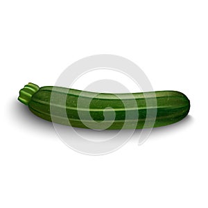 Zucchini isolated on white background.