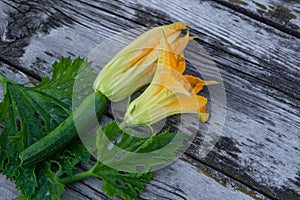 zucchini lie on a wooden table, organic food, healthy nutrition, zucchini lie on a wooden table
