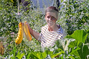 Zucchini from the organic vegetable garden