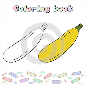Zucchini. A page of a coloring book with a colorful vegetables and a sketch for coloring.