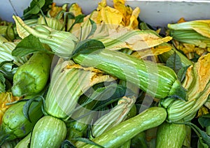 Zucchini on sale in the Cours Saleya Market in the old town of Nice, France