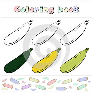 Zucchini set. A page of a coloring book with a colorful vegetables and a sketch for coloring.