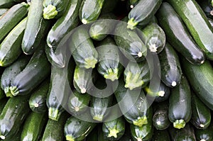 Zucchini squash on display at the farmer's market