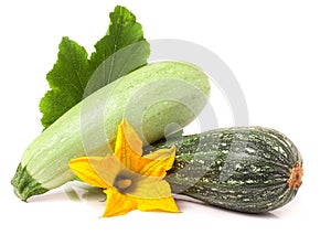 Zucchini and squash with leaf flower isolated on white background