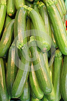 Zucchinis photo