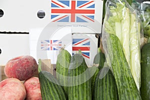 Zucchinis and Celery Stalks with Union Jack Box in Background