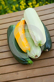 Zucchinis of different colors