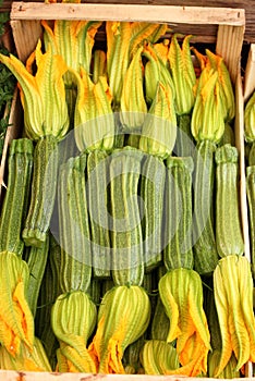 Zucchinis with flowers photo