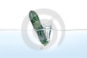 Zuchini splashing in water